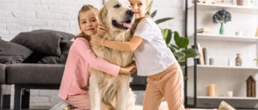 golden-retriever-e-criancas