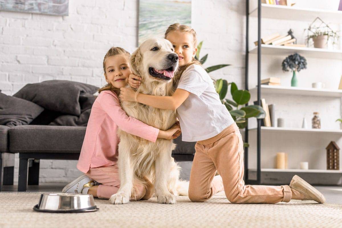 Duas meninas abraçando um golden retriever claro sentado no tapete da sala