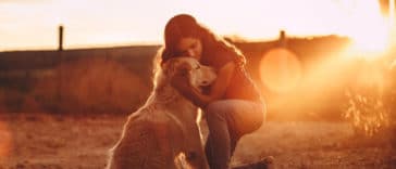 faq-do-golden-retriever