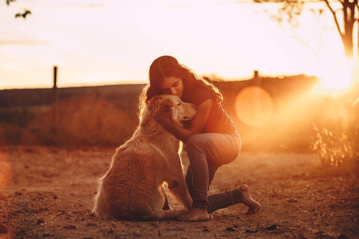 faq-do-golden-retriever