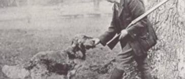 historia-do-golden-retriever-Lord-Tweedmouth